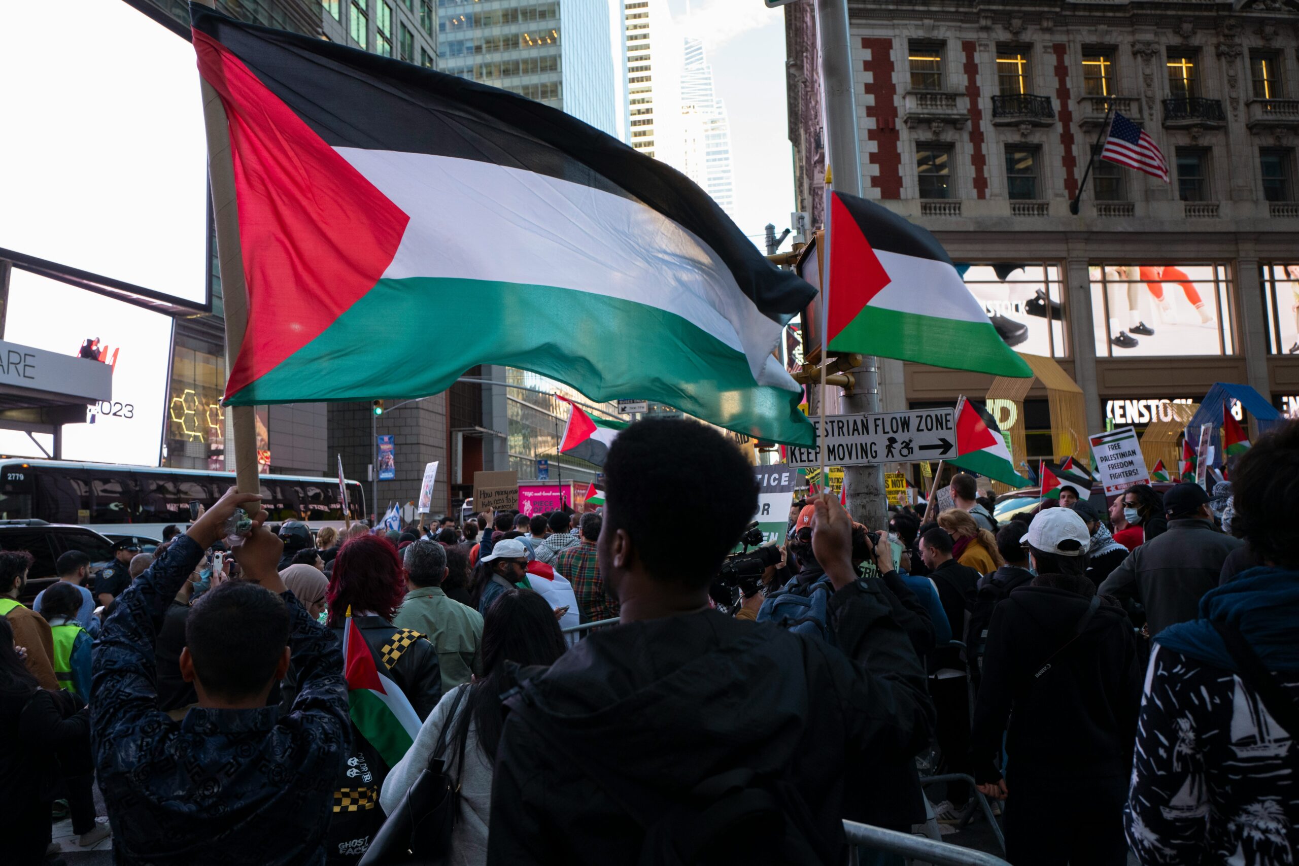 a crowd of people holding flags and signs